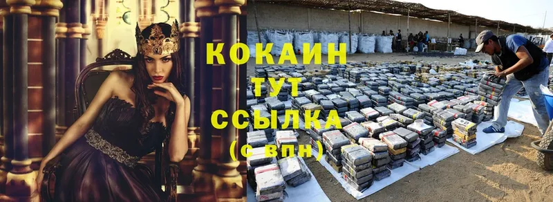 shop состав  Камызяк  КОКАИН Боливия 